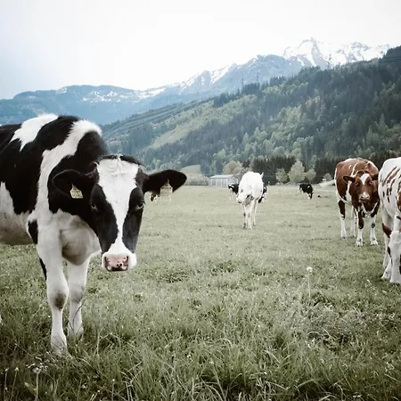 Reiters 110a Apartmán Piesendorf